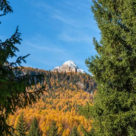 Angiolina Charming R&r Apartman